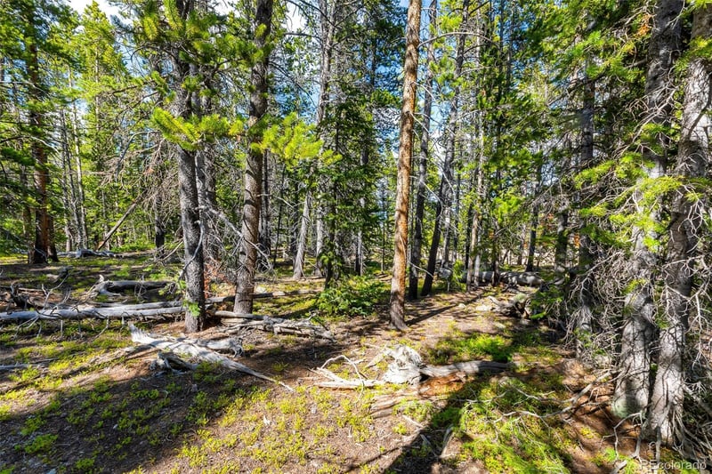 440 Gold Trail Cir Lot 64, Fairplay, CO 80440