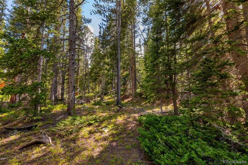 440 Gold Trail Cir Lot 64, Fairplay, CO 80440