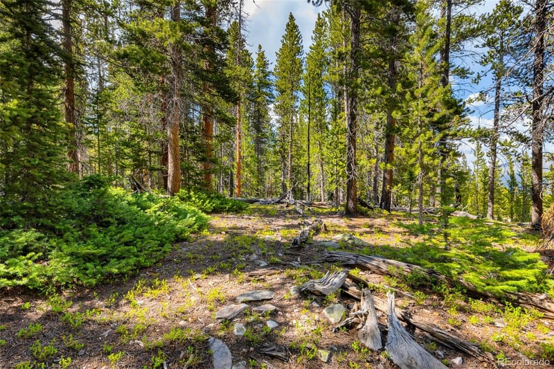 440 Gold Trail Cir Lot 64, Fairplay, CO 80440