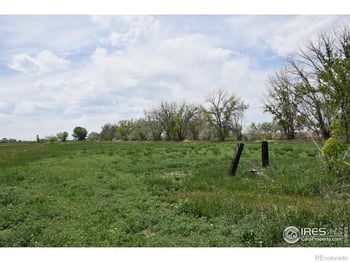3113 County Road 17, Brighton, CO 80603