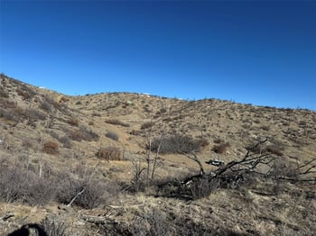 F Path And 37th Trl, Cotopaxi, CO 81223