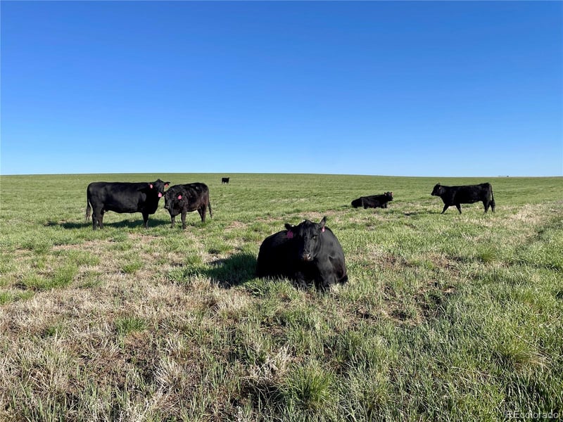 County Road 125 Lot 1, Deer Trail, CO 80105