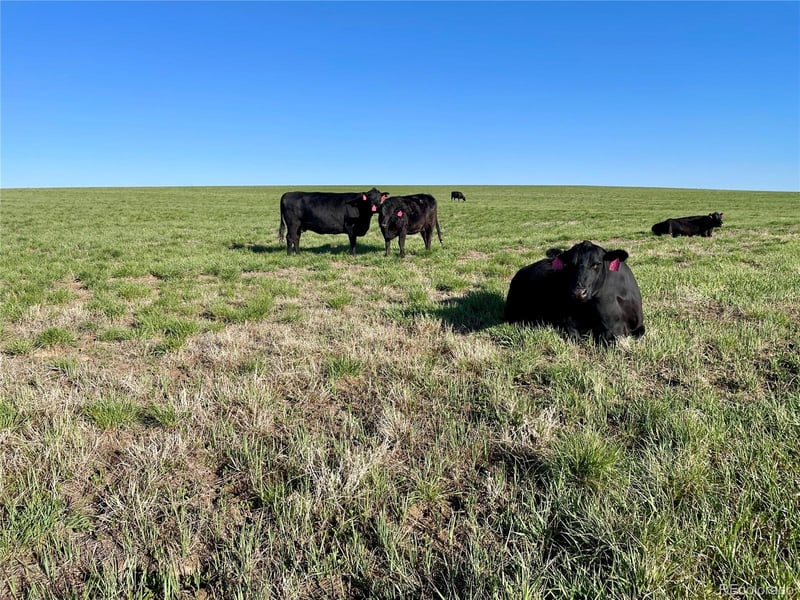 9 County Road 166, Deer Trail, CO 80105