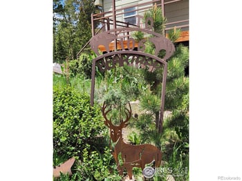 106 Beartrap Rd, Red Feather Lakes, CO 80545