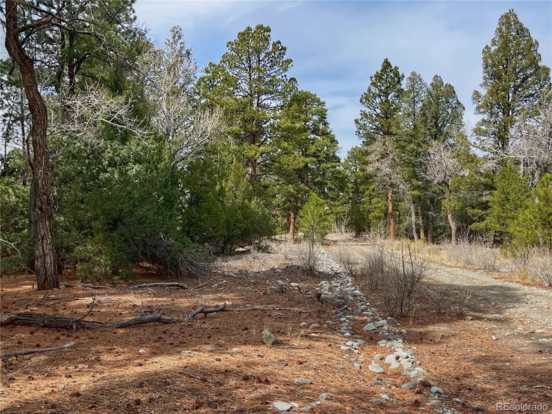 54 - 56 Big Bear Rd, Mosca, CO 81146