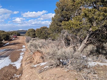 7831 Mallott Rd, Fort Garland, CO 81133