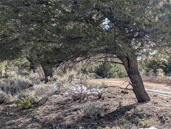 7831 Mallott Rd, Fort Garland, CO 81133