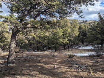 7831 Mallott Rd, Fort Garland, CO 81133