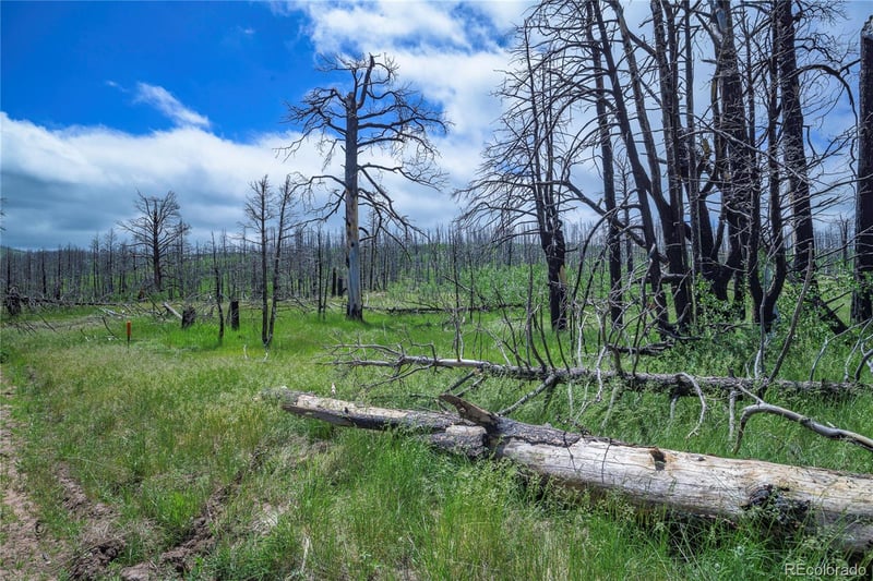 1185 Bechtel Pl, Fort Garland, CO 81133