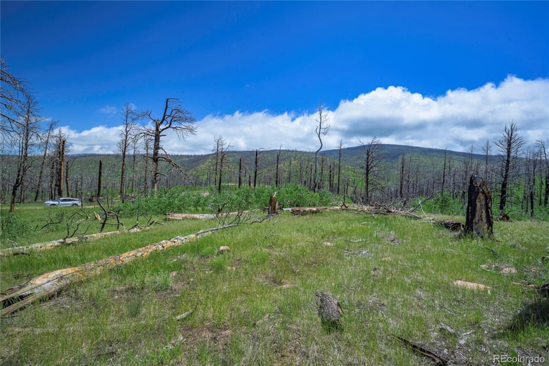 1185 Bechtel Pl, Fort Garland, CO 81133