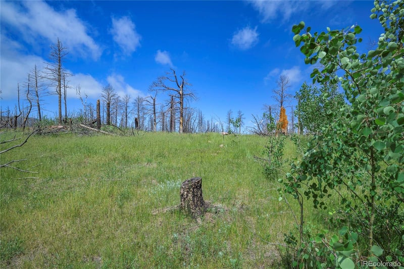 1185 Bechtel Pl, Fort Garland, CO 81133