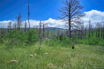 1185 Bechtel Pl, Fort Garland, CO 81133