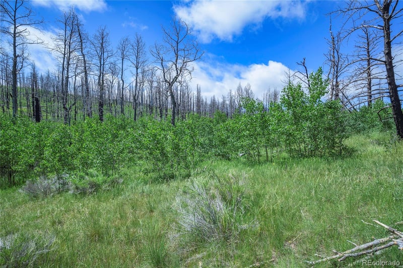 1185 Bechtel Pl, Fort Garland, CO 81133