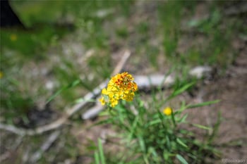 1185 Bechtel Pl, Fort Garland, CO 81133