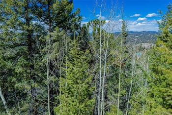 336 Witherite Dr, Divide, CO 80814