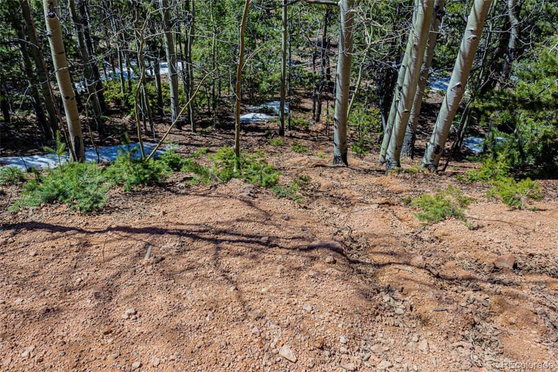 336 Witherite Dr, Divide, CO 80814