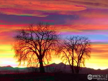 8081 County Road 16, Johnstown, CO 80534