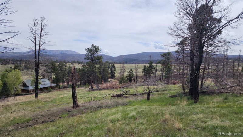 449 Duckworth Dr, Fort Garland, CO 81133