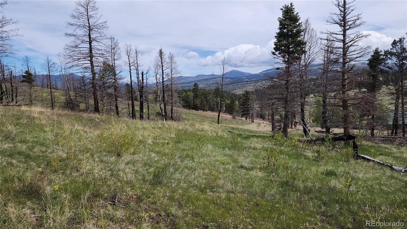 449 Duckworth Dr, Fort Garland, CO 81133
