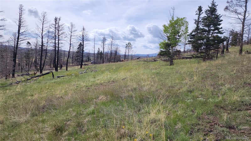 449 Duckworth Dr, Fort Garland, CO 81133