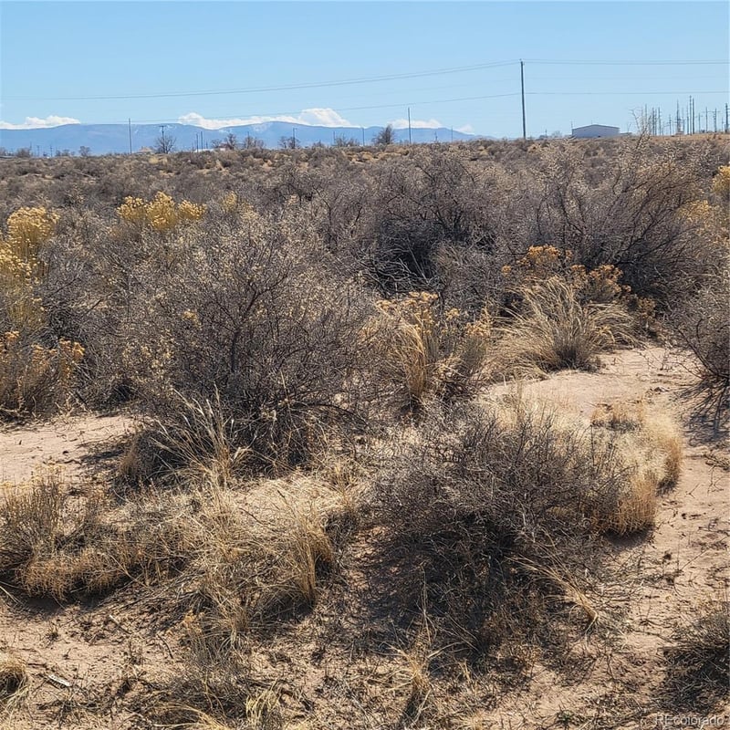 54 ac ml Chico St, Alamosa, CO 81101