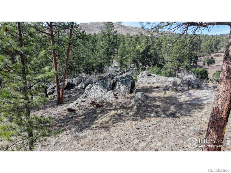 338 Bobcat Pl, Drake, CO 80515