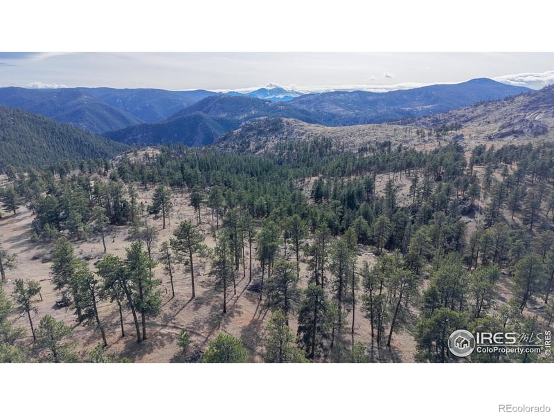 338 Bobcat Pl, Drake, CO 80515