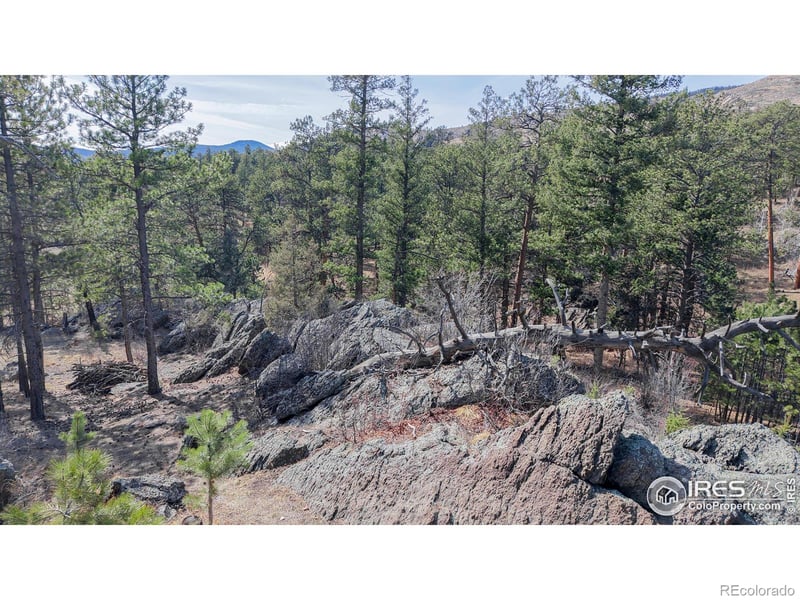 338 Bobcat Pl, Drake, CO 80515