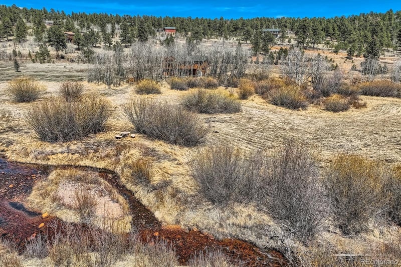 44 Forest Ridge Cir, Bailey, CO 80421