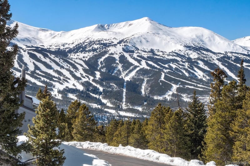 160 N Fuller Placer Rd, Breckenridge, CO 80424