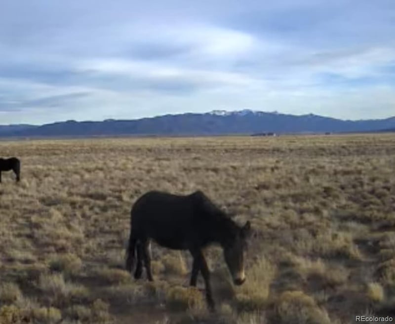 00 Acoma Trl, San Luis, CO 81152