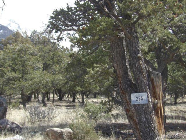 255 Baca Grant Way, Crestone, CO 81131