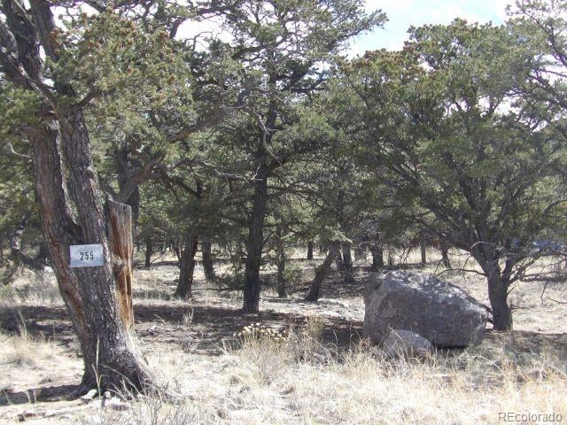 255 Baca Grant Way, Crestone, CO 81131