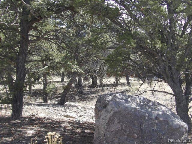 255 Baca Grant Way, Crestone, CO 81131