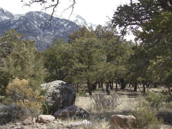 255 Baca Grant Way, Crestone, CO 81131