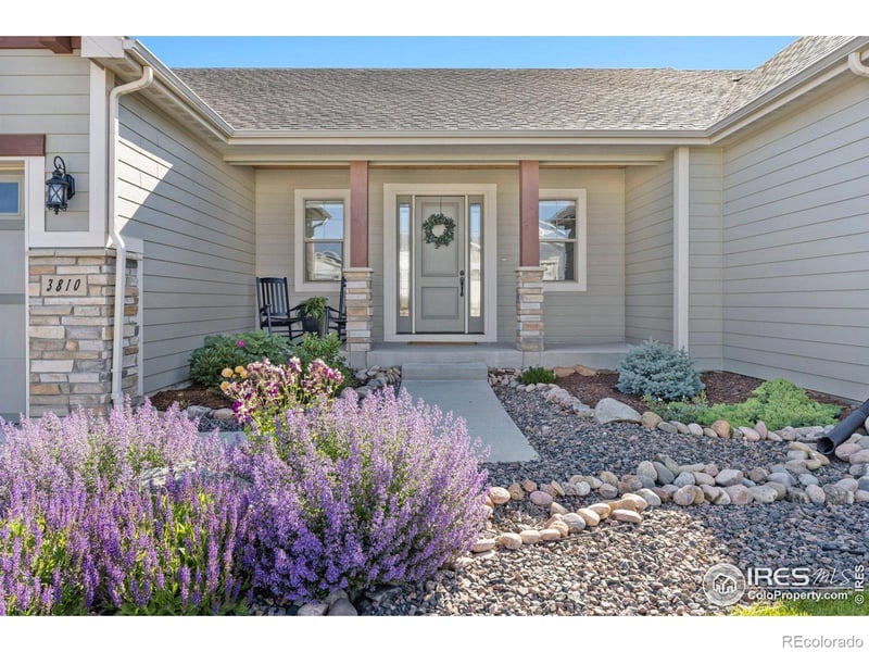 3810 Bridle Ridge Cir, Severance, CO 80524