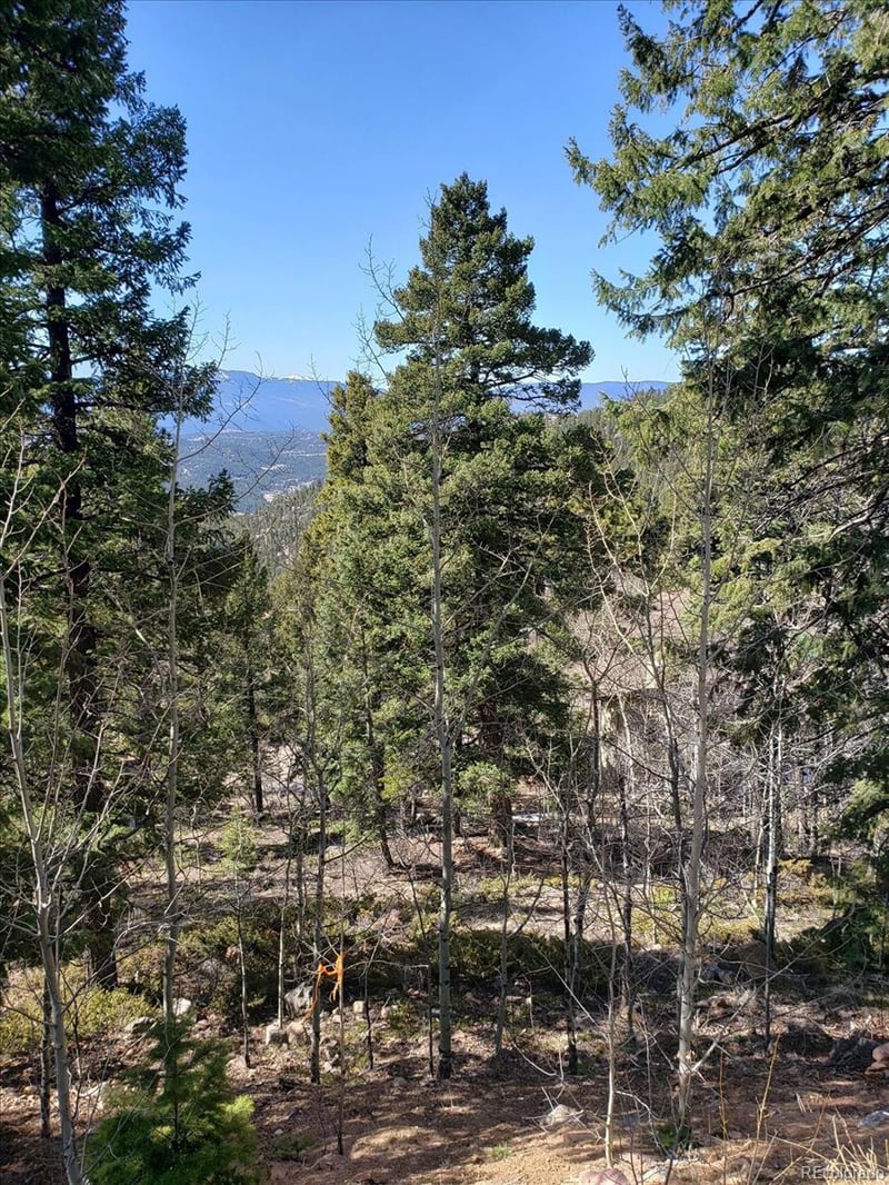 11698 Nichols Way, Conifer, CO 80433