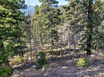 11698 Nichols Way, Conifer, CO 80433