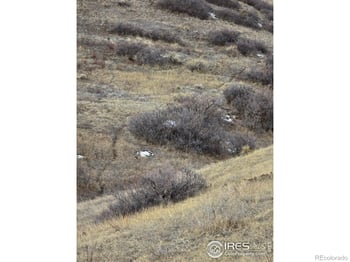 Beverly Dr, Berthoud, CO 80513