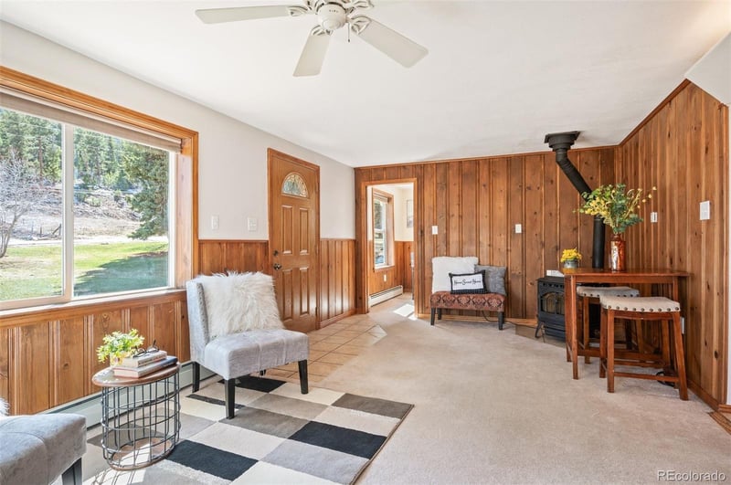 10039 S Turkey Creek Rd, Morrison, CO 80465