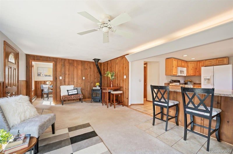 10039 S Turkey Creek Rd, Morrison, CO 80465