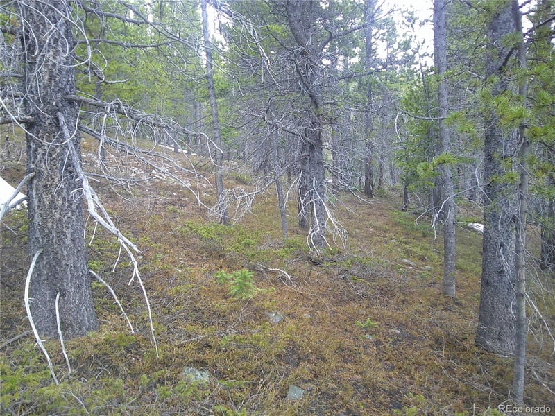 Lot 417 Glory Hole Rd, Idaho Springs, CO 80452