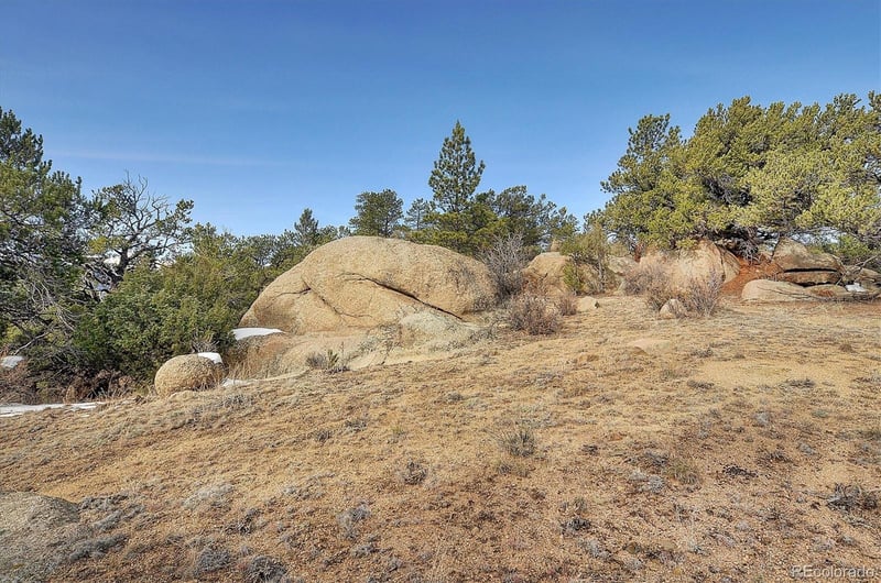 31950 Forest Service Road 376, Buena Vista, CO 81211