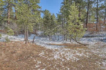 665 Copper Fox Pl, Larkspur, CO 80118