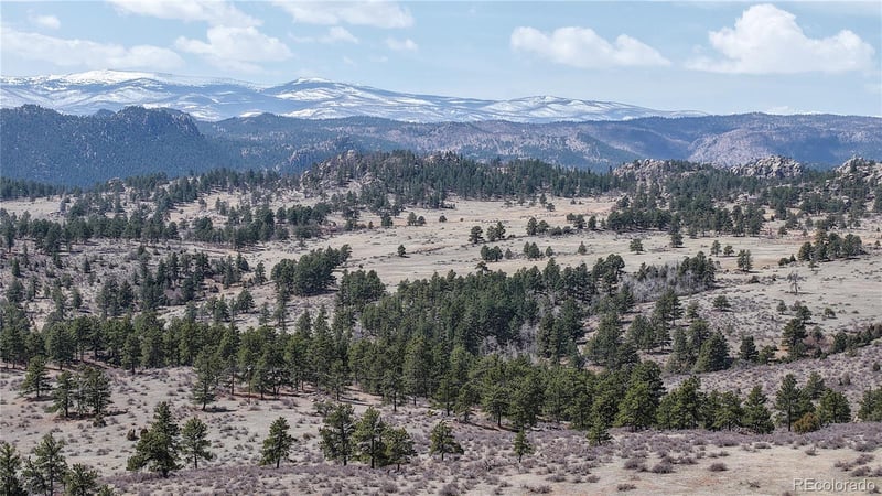 16420 W County Road 74e, Livermore, CO 80536