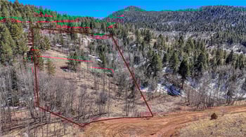 513 Last Dollar Dr, Cripple Creek, CO 80813