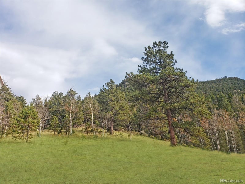 121 Broken Arrow Pa, Lake George, CO 80827