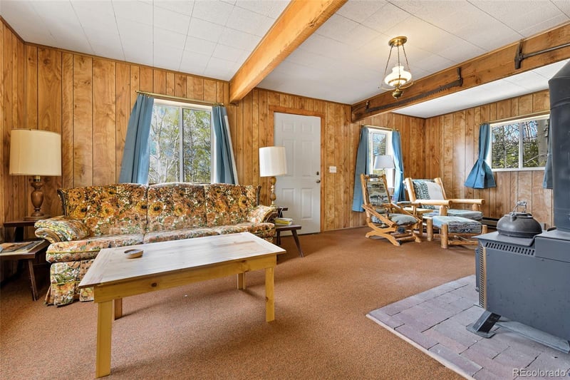 454 Eagle Rock Rd, Florissant, CO 80816