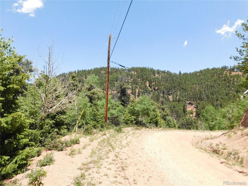 13371 Spruce Creek Cir, Larkspur, CO 80118