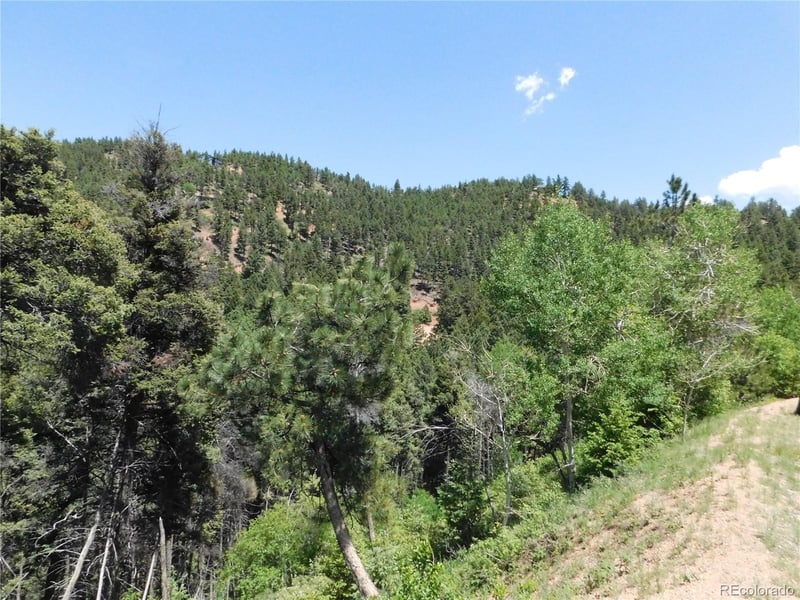 13371 Spruce Creek Cir, Larkspur, CO 80118